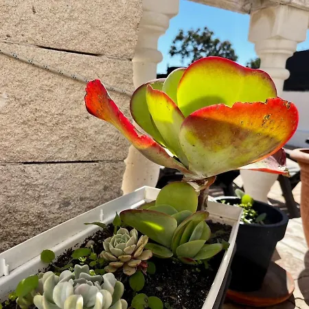 Holiday home Tgnfunfam - Private Terrace, Bbq, Pool And Beach! Tarragona